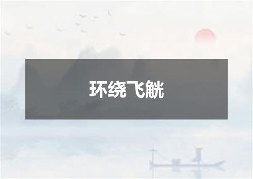 环绕飞觥