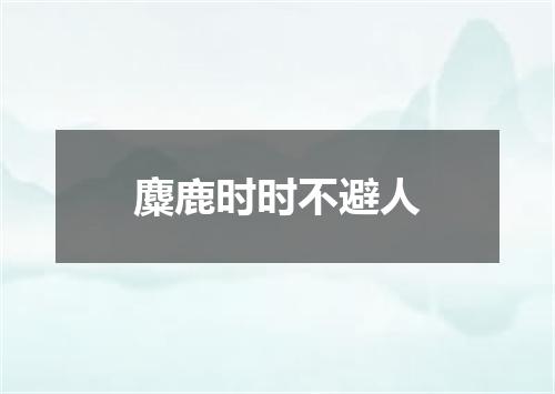 麋鹿时时不避人
