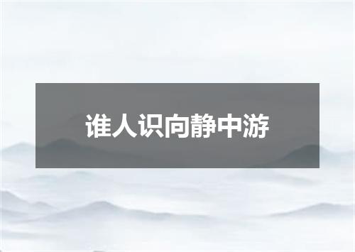 谁人识向静中游