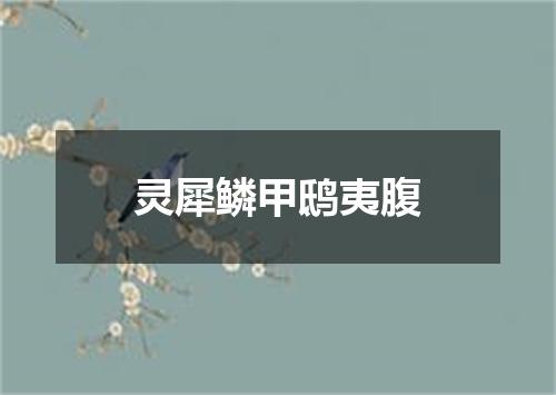 灵犀鳞甲鸱夷腹