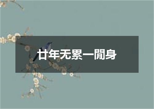 廿年无累一閒身