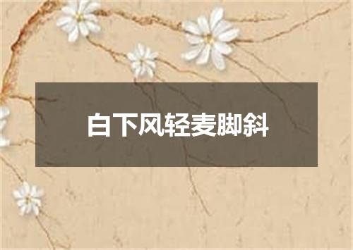 白下风轻麦脚斜