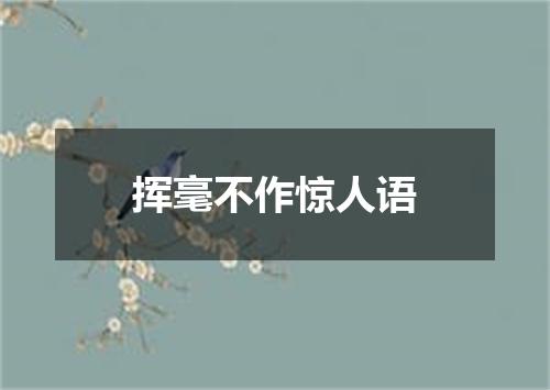 挥毫不作惊人语