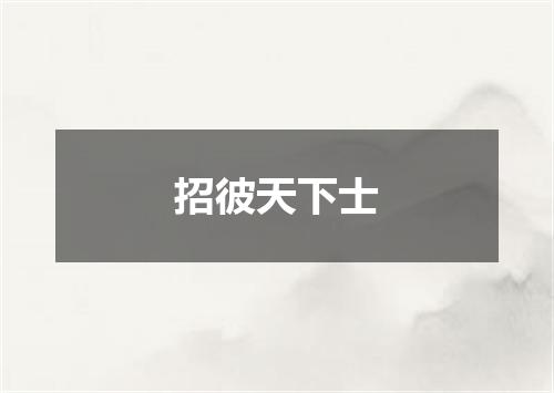 招彼天下士