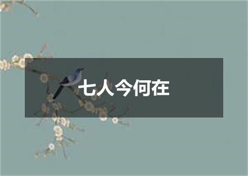 七人今何在