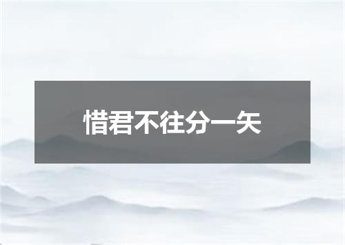 惜君不往分一矢
