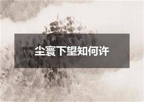 尘寰下望知何许