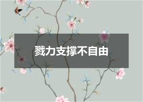 戮力支撑不自由