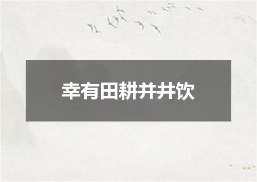 幸有田耕并井饮