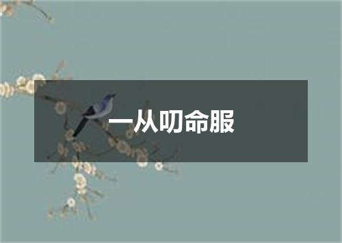 一从叨命服