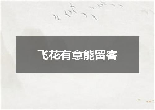 飞花有意能留客