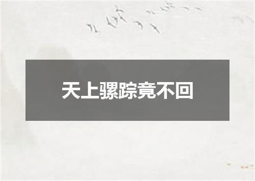 天上骡踪竟不回