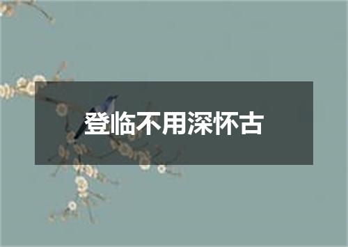 登临不用深怀古