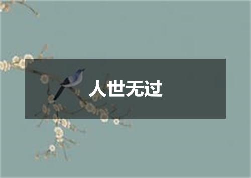 人世无过