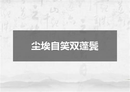 尘埃自笑双蓬鬓