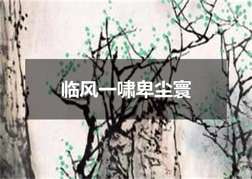 临风一啸卑尘寰