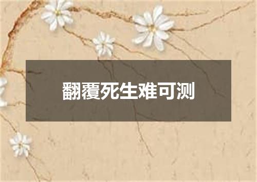 翻覆死生难可测