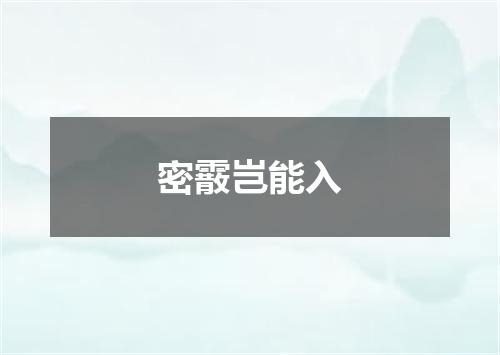 密霰岂能入