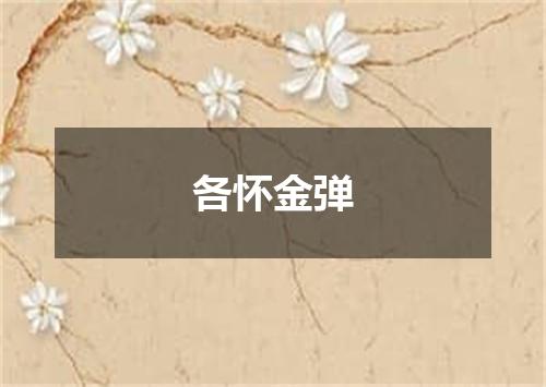 各怀金弹