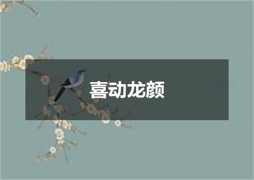 喜动龙颜