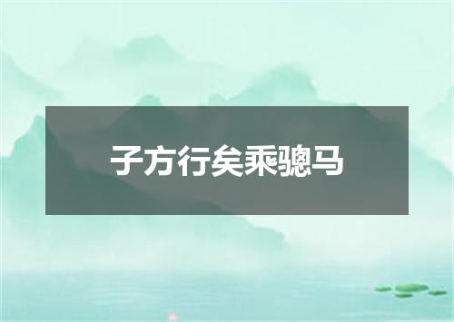 子方行矣乘骢马