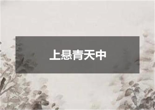 上悬青天中