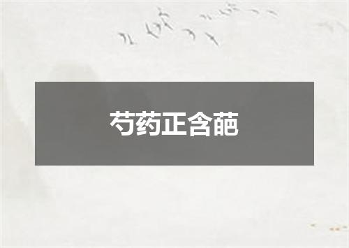 芍药正含葩