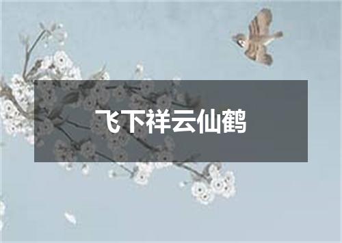 飞下祥云仙鹤