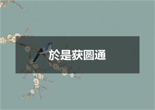 於是获圆通