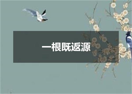 一根既返源
