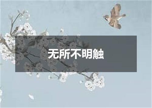 无所不明触