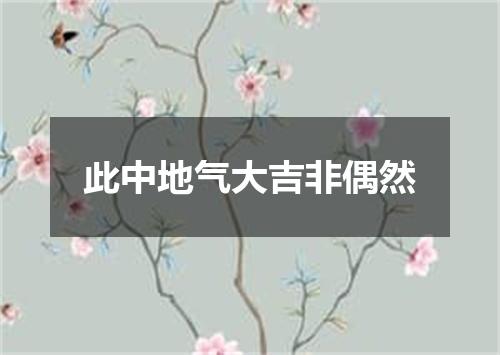 此中地气大吉非偶然