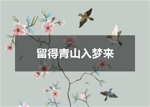 留得青山入梦来