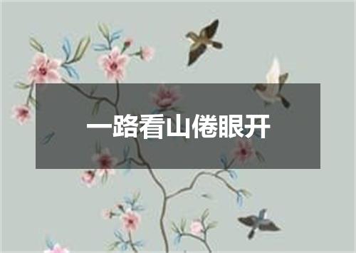 一路看山倦眼开