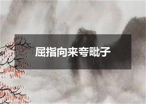 屈指向来夸毗子