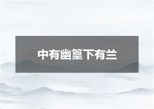 中有幽篁下有兰