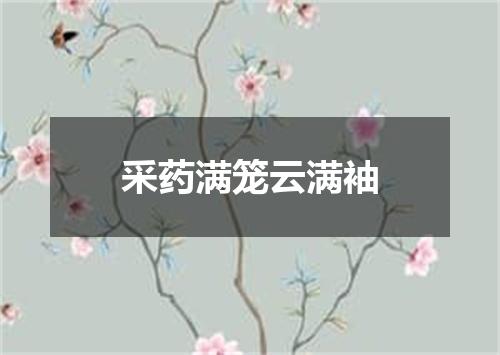采药满笼云满袖