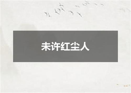 未许红尘人