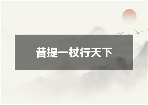 昔提一杖行天下
