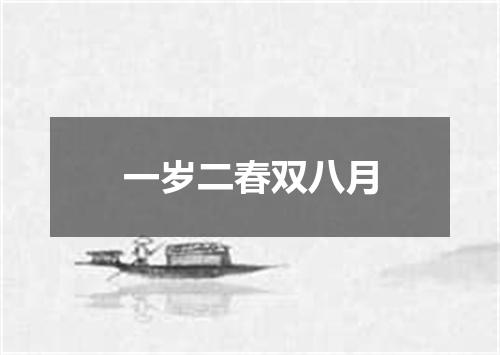 一岁二春双八月