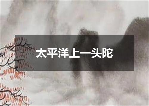 太平洋上一头陀