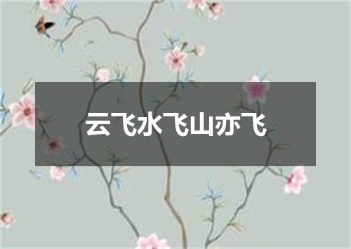 云飞水飞山亦飞