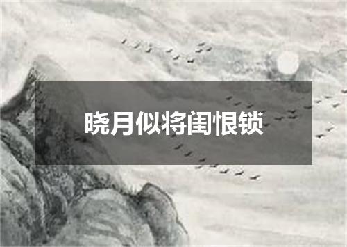 晓月似将闺恨锁