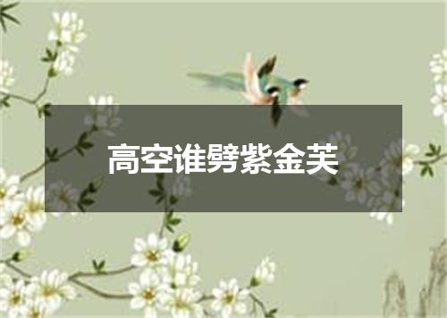 高空谁劈紫金芙