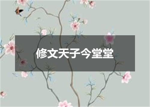 修文天子今堂堂
