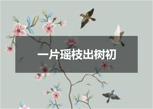 一片瑶枝出树初