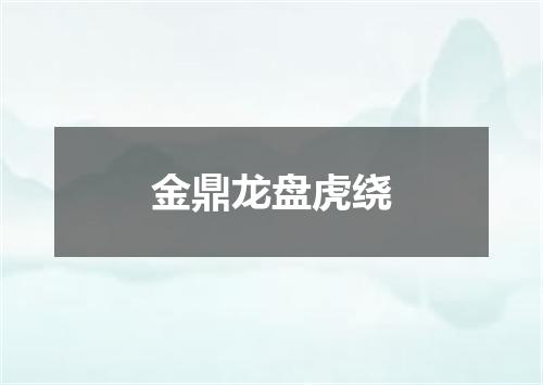 金鼎龙盘虎绕