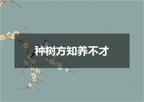 种树方知养不才