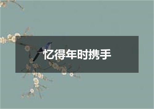 忆得年时携手