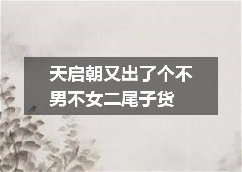 天启朝又出了个不男不女二尾子货